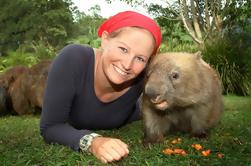 Excursão de um dia para o Jardim Zoológico e da Costa do Sol em Brisbane