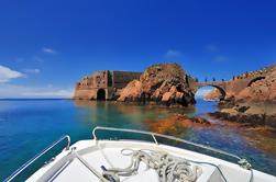 Private Tour: Berlenga Grande Day Trip da Lisbona