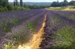 Small-Group Lavender Tour of Luberon Villages, Lourmarin, Roussillon and Sault from Aix-en-Provence