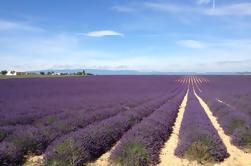 Small-Group Lavender tour van Valensole, Moustiers Sainte Marie en Verdon van Marseille