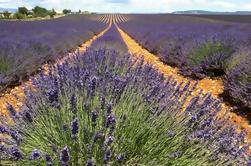 Small-Group Tour Lavendel in de Luberon dorpen van Lourmarin, Roussillon en Sault van Marseille