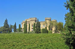 Avignon and Chateauneuf du Pape Wineries