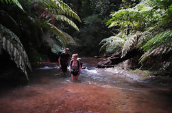 Excursão de Aventura de Ranger de Selva Selvagem de 5 Dias de Bangkok