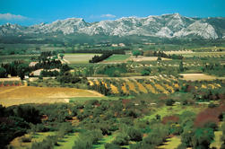 Excursão de um dia em Alpilles de Avignon