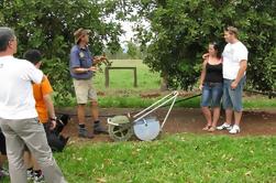 Atherton Tablelands Alimentação e Wine Tour de Cairns