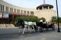 Excursão privada do transporte da baixa de Nashville