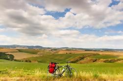 Tuscan Country Bike Tour from Florence Including Wine and Olive Oil Tastings