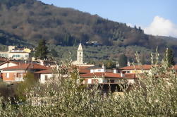 Settignano et Fiesole Excursion de Florence