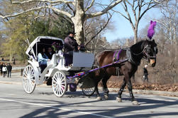 Central Park paseo en carro con el fotógrafo