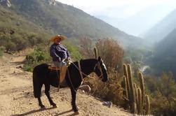 Tour a caballo en los Andes desde Santiago