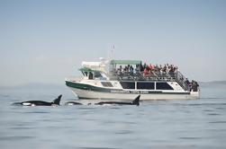 Victoria Whale Watching Tour op een overdekt Vessel