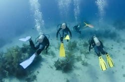 2-Tank Dive en Freeport