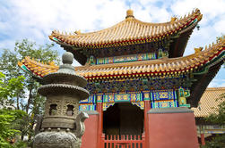 Beijing City Coach Tour: Hutongs, Zoológico de Pequim e Templo de Lama