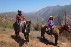 Cabalgata de medio día desde Santiago