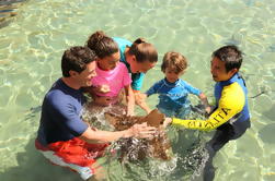 Dubai Atlantis Ray Feeding Experience