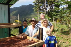 Excursão de um dia em San Francisco: Visita e Oficina de Chocolate