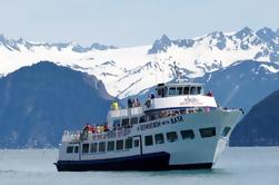 Kenai Fjords Wildlife Cruise with Optional Buffet Lunch