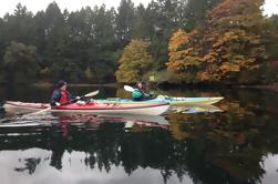 Excursiones guiadas de Kayak de la Bahía de Brentwood