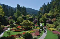 Excursión de kayak de los colores de otoño de la Bahía de Brentwood y visita a Butchart Gardens