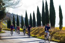 Full-Day Tuscan Countryside Bike Tour