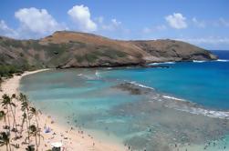 Hanauma Bay Guided Snorkel Tour with Underwater Photos