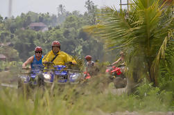 Tour de ATV por las tierras altas del norte de Bali