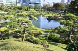 Visite de jardin japonais et dégustation de bonbons à Tokyo