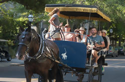 Visite privée en carriole de Charleston