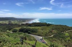 Muriwai Scenic Wine Tour from Auckland