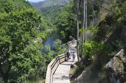 Caminatas Paiva Excursión en grupo pequeño con almuerzo