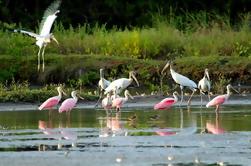 Birdwatching nel Parco Naturale Mundo Aventura