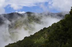 Cloud Forest Wandeling bij Juan Castro Blanco National Park
