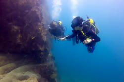 Open Water Diver Referral kurs i Los Cabos