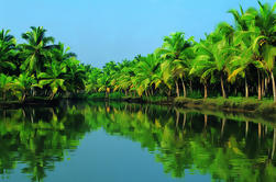 Excursión en grupo a la costa: Backwater Houseboat Tour y Fort Kochi desde Cochin Port