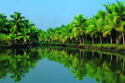 Azamara Excursión especial a la costa de Kochi: Fort Kochi y Backwater Houseboat Tour