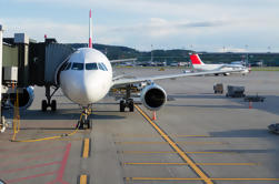 Transferência de Chegada Compartilhada: Aeroporto de Zurique para o Hotel