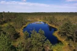 Parque Nacional Lahemaa Tour de día completo desde Tallin