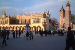 Excursión Turística de Cracovia en Minibus