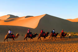 Small Group Dunhuang Day Tour including Camel Ride, Mo Gao Caves, Crescent Spring and Singing Sand Dunes