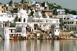 Pushkar Private Day Trip