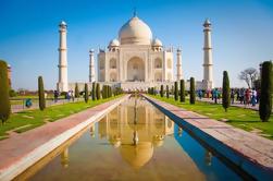 7 días de Patrimonio de la India Tour desde Jaipur: Fortaleza de Ramathra y Taj Mahal