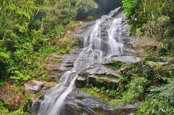 Parque Nacional Tijuca Tour Privado Personalizable en Río de Janeiro