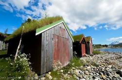 Excursión turística de los pequeños grupos de los paisajes árticos desde Tromso - verano