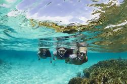 Tour Snorkeling a Panama