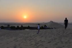 Safari en el desierto de Abu Dhabi Tour de una noche en el campamento beduino