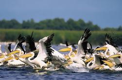 Tour en grupo de 3 días en el delta salvaje del Danubio