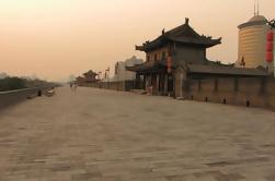 Tour de día clásico de Xi'an: Museo de Historia de Shaanxi, Pagoda grande del ganso salvaje, Pared de la ciudad, Plaza de la torre de la campana y del tambor y Barrio musulmán