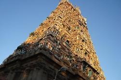 Tour Privado de Chennai: Iglesia de San Thome, Templo de Kapaleeshwar, Playa Marina y Edificio Ripon