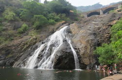 Excursión privada de un día completo: Cataratas de Dudhsagar y plantaciones de especias de Goa