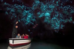 Private Shore Excursion: Waitomo Glow Worm Caves Experience from Tauranga